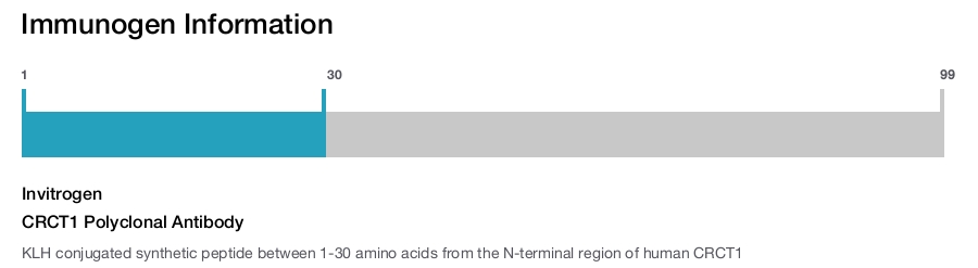 CRCT1 Polyclonal Antibody