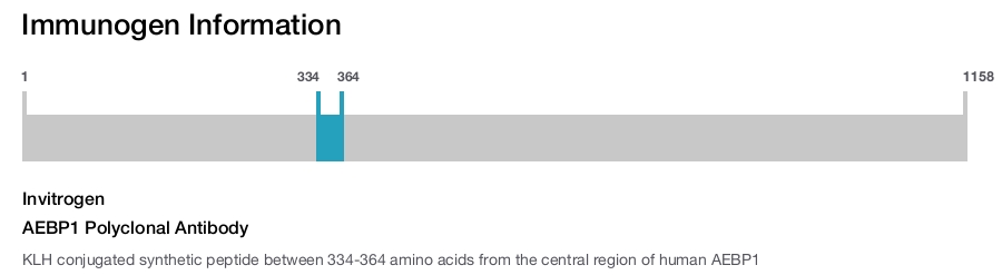 AEBP1 Polyclonal Antibody