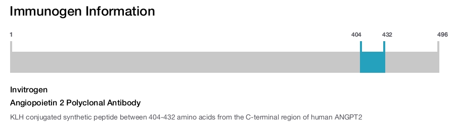 Angiopoietin 2 Polyclonal Antibody