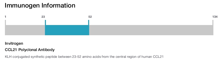 CCL21 Polyclonal Antibody