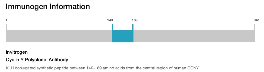 Cyclin Y Polyclonal Antibody
