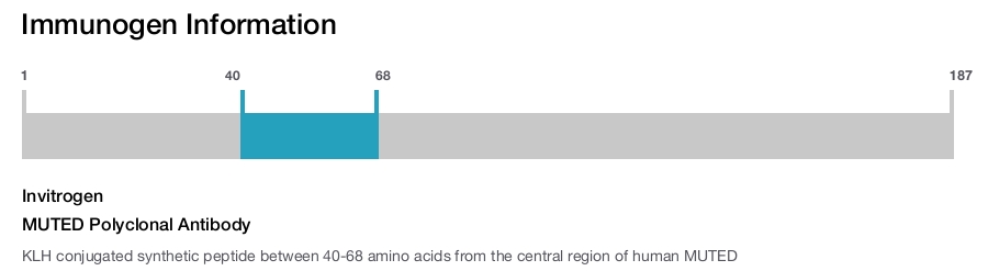 MUTED Polyclonal Antibody