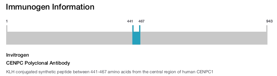 CENPC Polyclonal Antibody