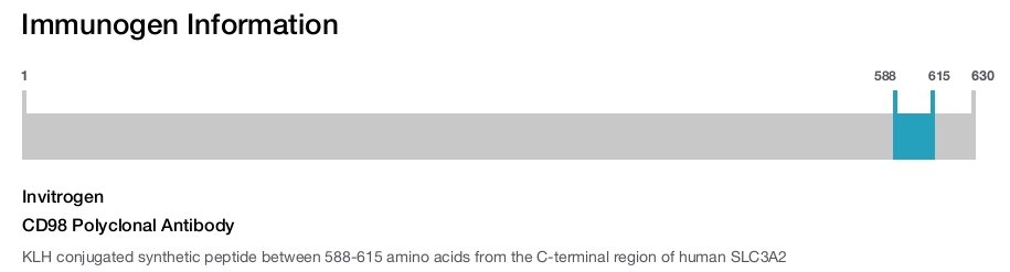 CD98 Polyclonal Antibody
