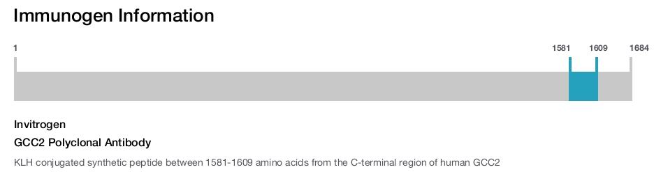 GCC2 Polyclonal Antibody