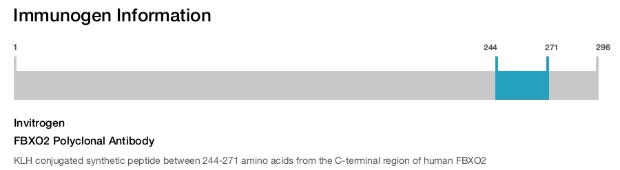 FBXO2 Polyclonal Antibody