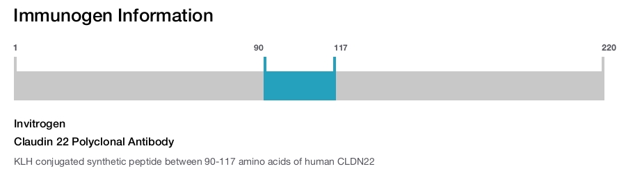 Claudin 22 Polyclonal Antibody