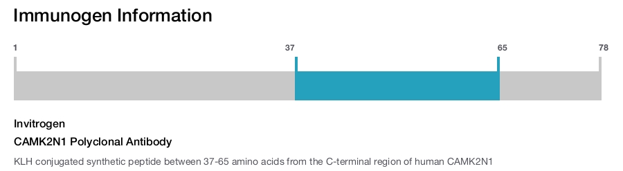 CAMK2N1 Polyclonal Antibody