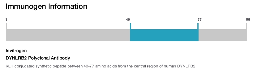 DYNLRB2 Polyclonal Antibody