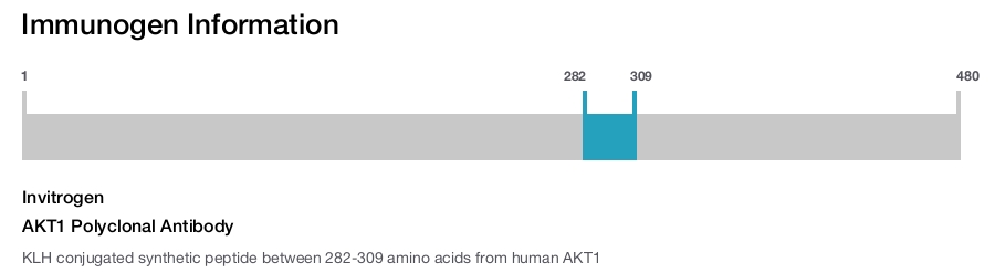AKT1 Polyclonal Antibody