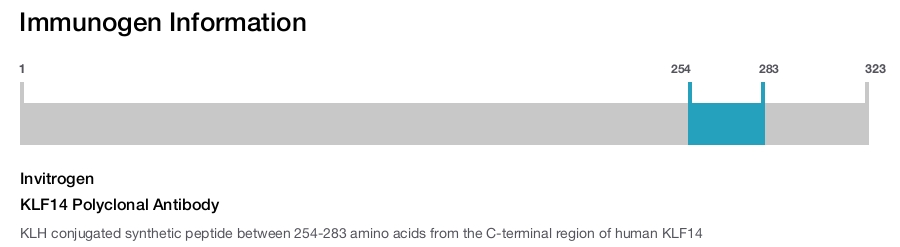 KLF14 Polyclonal Antibody
