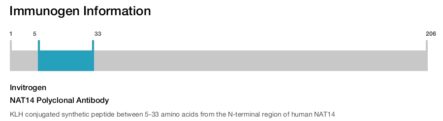 NAT14 Polyclonal Antibody