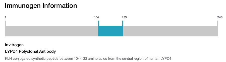LYPD4 Polyclonal Antibody