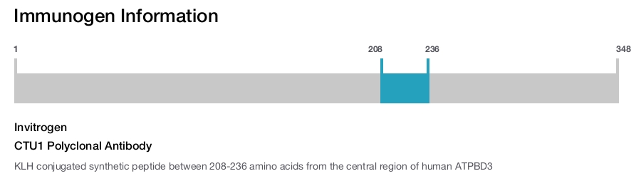 CTU1 Polyclonal Antibody
