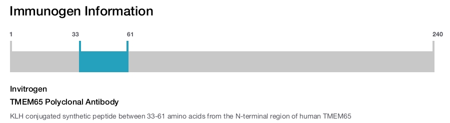TMEM65 Polyclonal Antibody