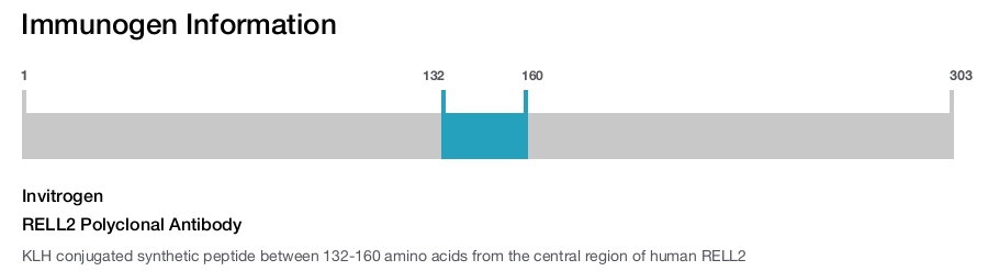 RELL2 Polyclonal Antibody