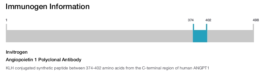 Angiopoietin 1 Polyclonal Antibody