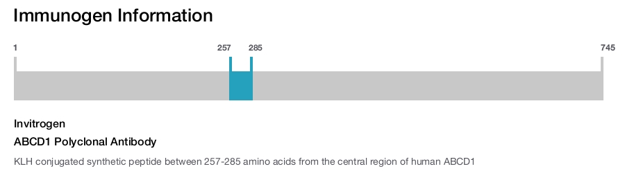ABCD1 Polyclonal Antibody