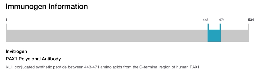 PAX1 Polyclonal Antibody