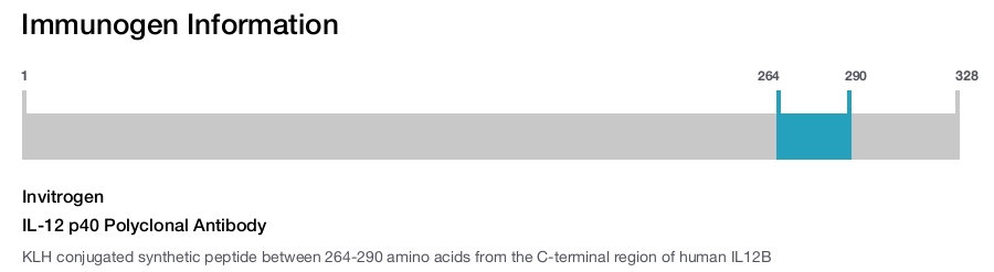 IL-12 p40 Polyclonal Antibody