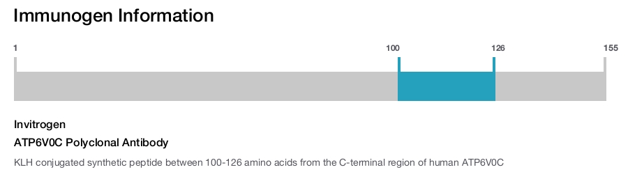 ATP6V0C Polyclonal Antibody