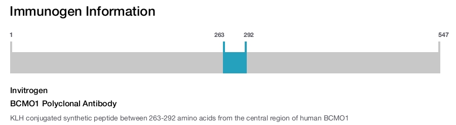 BCMO1 Polyclonal Antibody