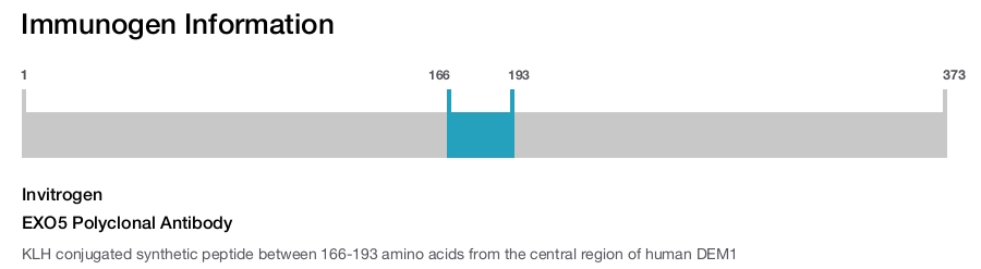 EXO5 Polyclonal Antibody