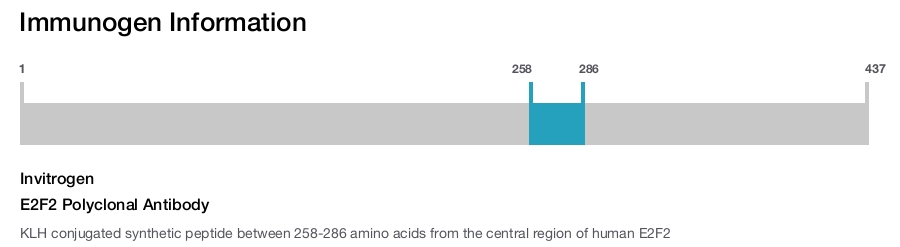 E2F2 Polyclonal Antibody