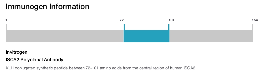 ISCA2 Polyclonal Antibody