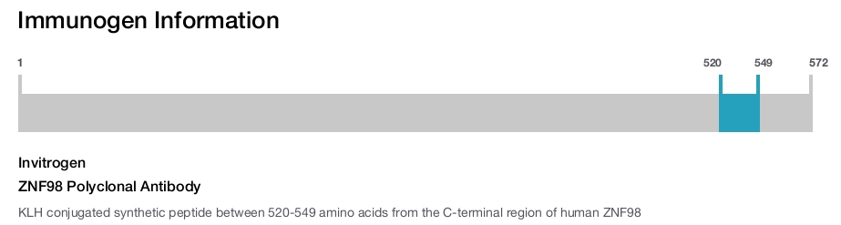 ZNF98 Polyclonal Antibody