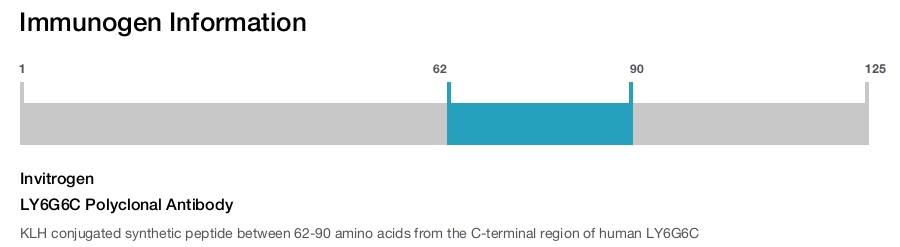 LY6G6C Polyclonal Antibody