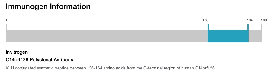C14orf126 Polyclonal Antibody
