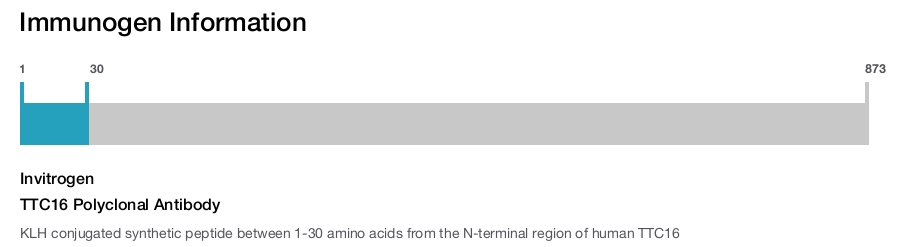 TTC16 Polyclonal Antibody