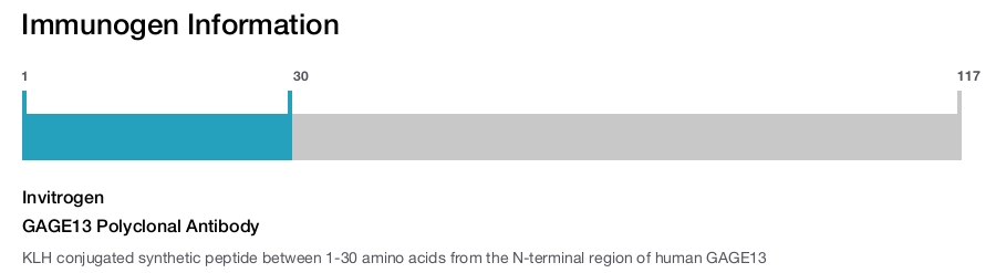 GAGE13 Polyclonal Antibody
