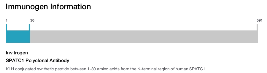 SPATC1 Polyclonal Antibody