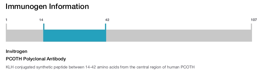 PCOTH Polyclonal Antibody