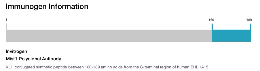 Mist1 Polyclonal Antibody