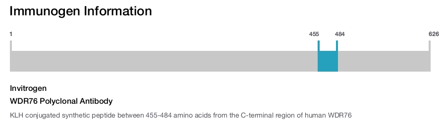 WDR76 Polyclonal Antibody