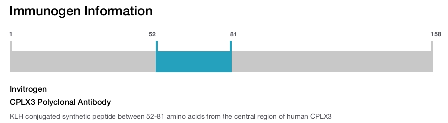 CPLX3 Polyclonal Antibody
