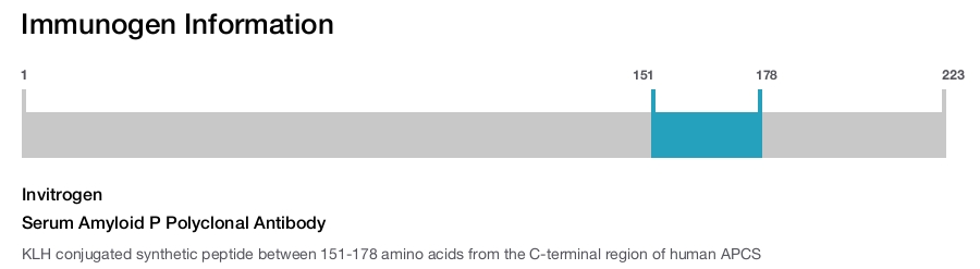 Serum Amyloid P Polyclonal Antibody