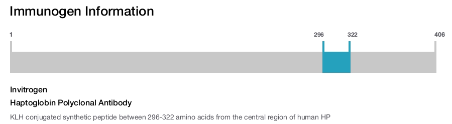 Haptoglobin Polyclonal Antibody