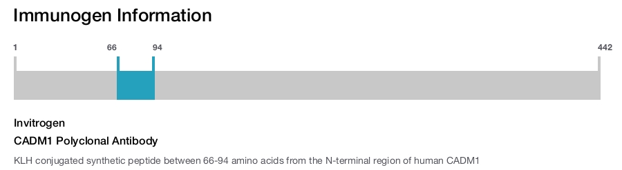 CADM1 Polyclonal Antibody