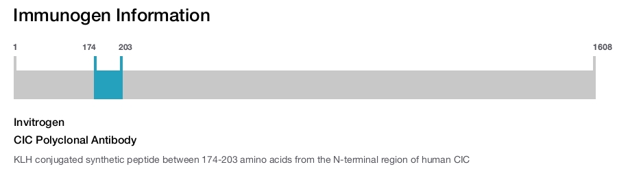 CIC Polyclonal Antibody