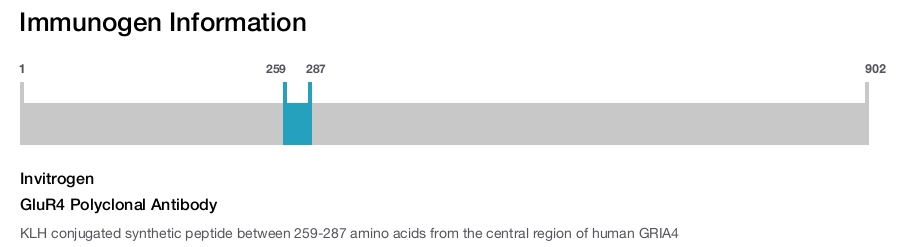 GluR4 Polyclonal Antibody