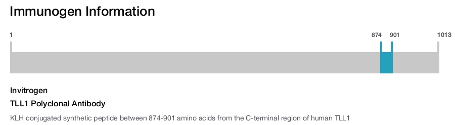 TLL1 Polyclonal Antibody