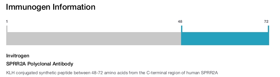 SPRR2A Polyclonal Antibody