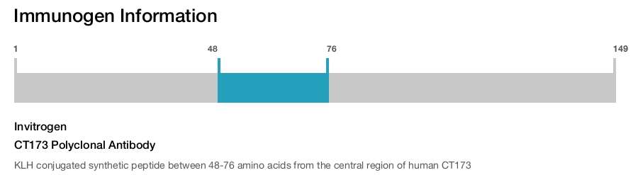 CT173 Polyclonal Antibody