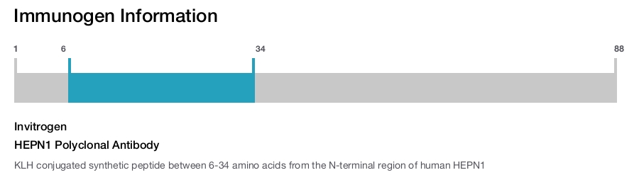 HEPN1 Polyclonal Antibody
