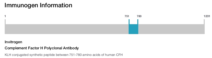 Complement Factor H Polyclonal Antibody