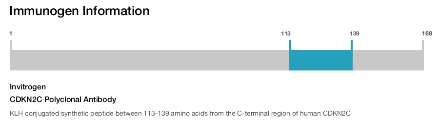 CDKN2C Polyclonal Antibody